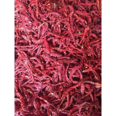 CILI KERING - 668 4KG