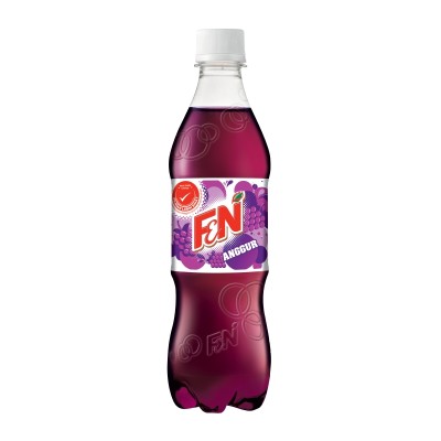 F&N GRAPE-BTL (500ML x 24)