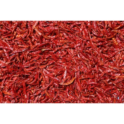 CILI KERING - 668 10KG